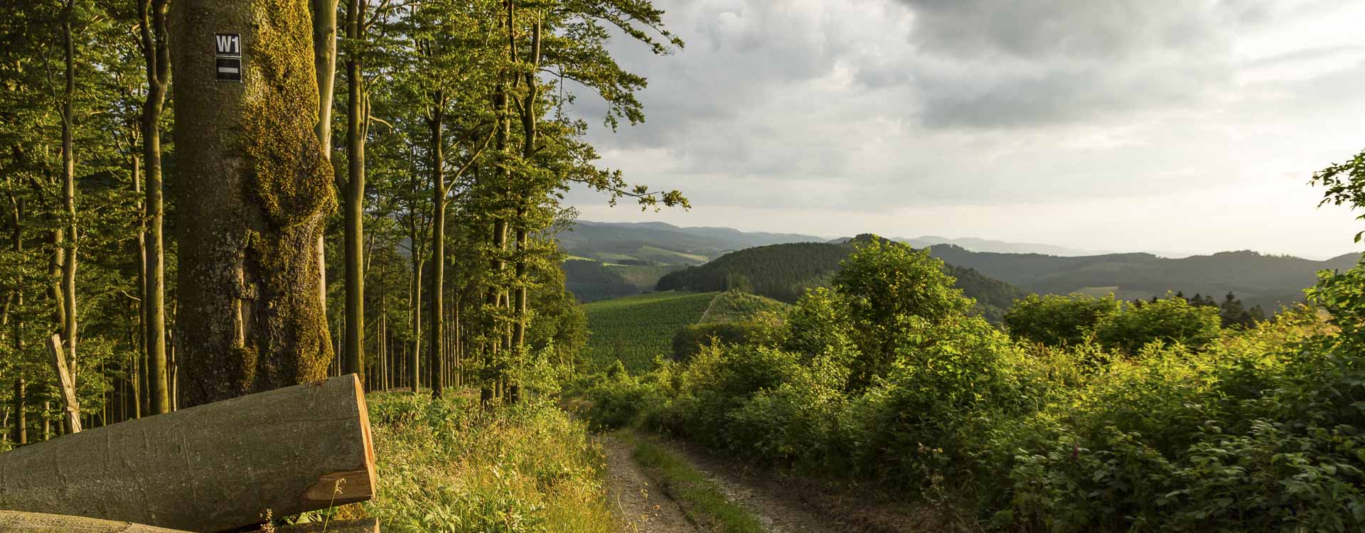 Premiumweg Schwedensteig-Heidenstrasse