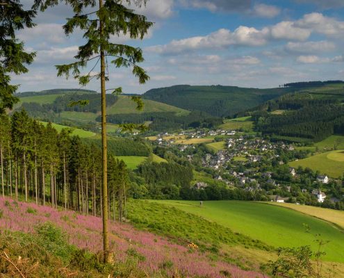 Aussicht auf Westfeld