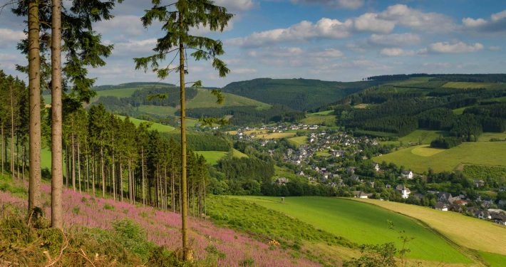 Aussicht auf Westfeld